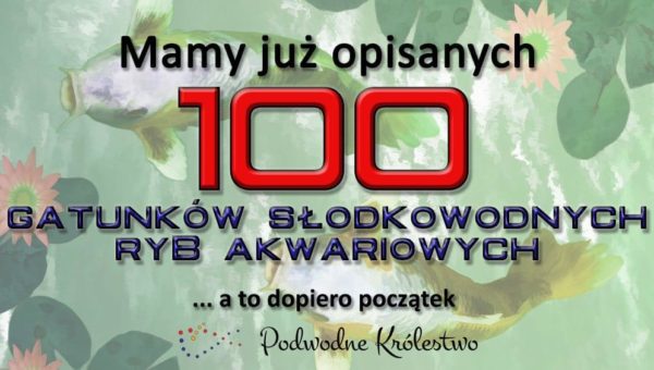 Ryby akwariowe - 100 opisów