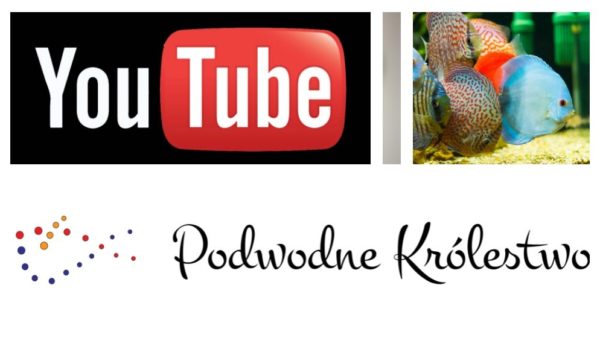 Akwarium słodkowodne