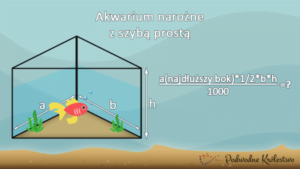 Pojemnośc akwarium narożnego prostego