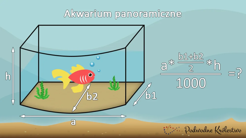 Akwarium panoramiczne